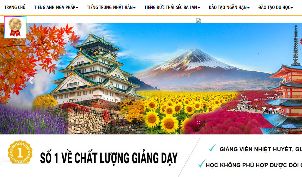 cong-ty-ngoai-ngu-viet-edu